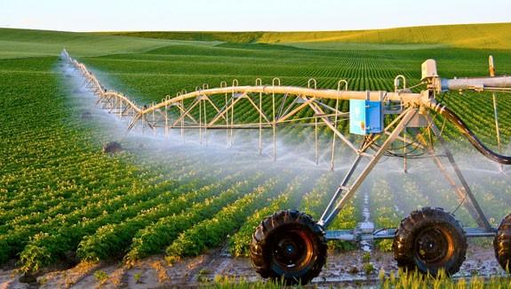 Unifarm đi đầu trong ứng dụng công nghệ vào nông nghiệp